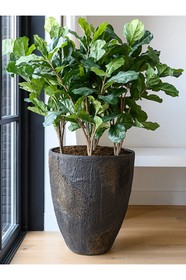 Ficus Lyrata Kunstpflanze
