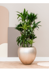 Baq Metallic Silver Leaf Couple matt hellchampagnerfarben (mit Einsatzbehälter)