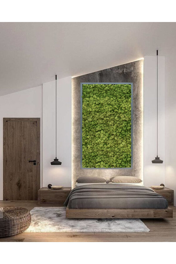 Pflanzenbild Dunkler grauer Rahmen XL