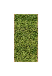 Pflanzenbild Holzrahmen XXL