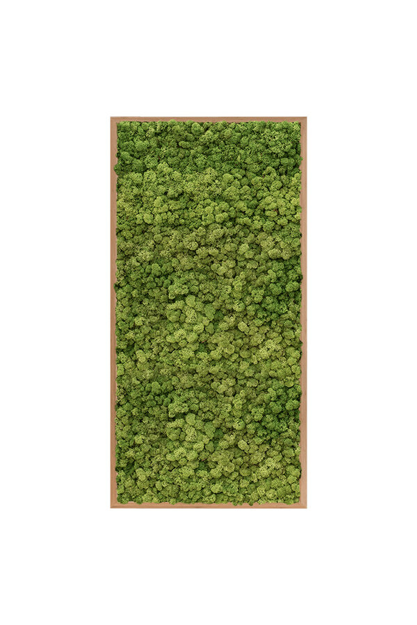 Pflanzenbild Holzrahmen XXL
