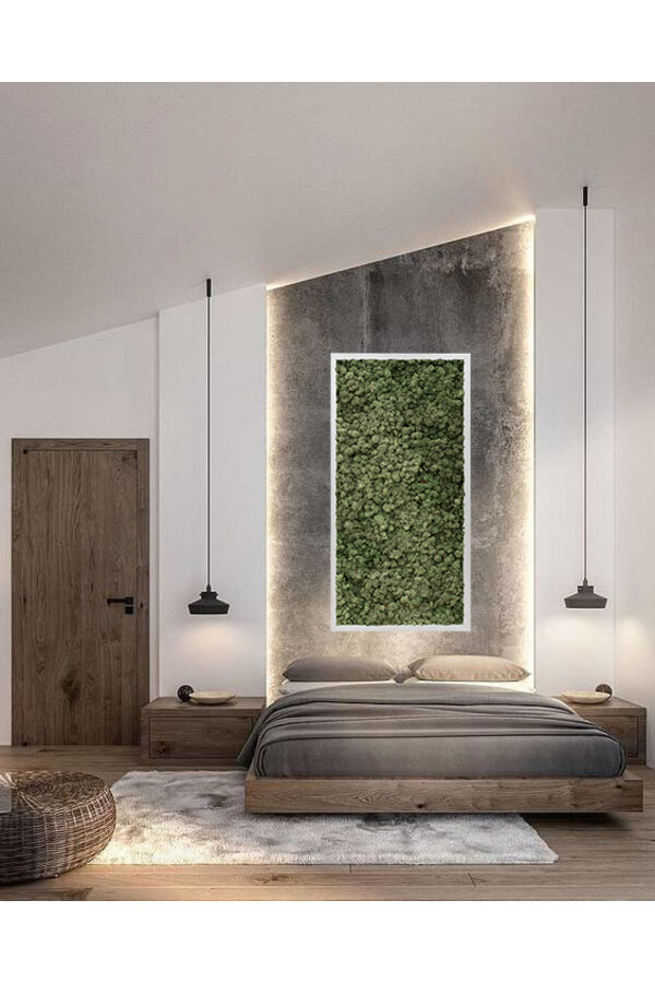 Pflanzenbild Gray L