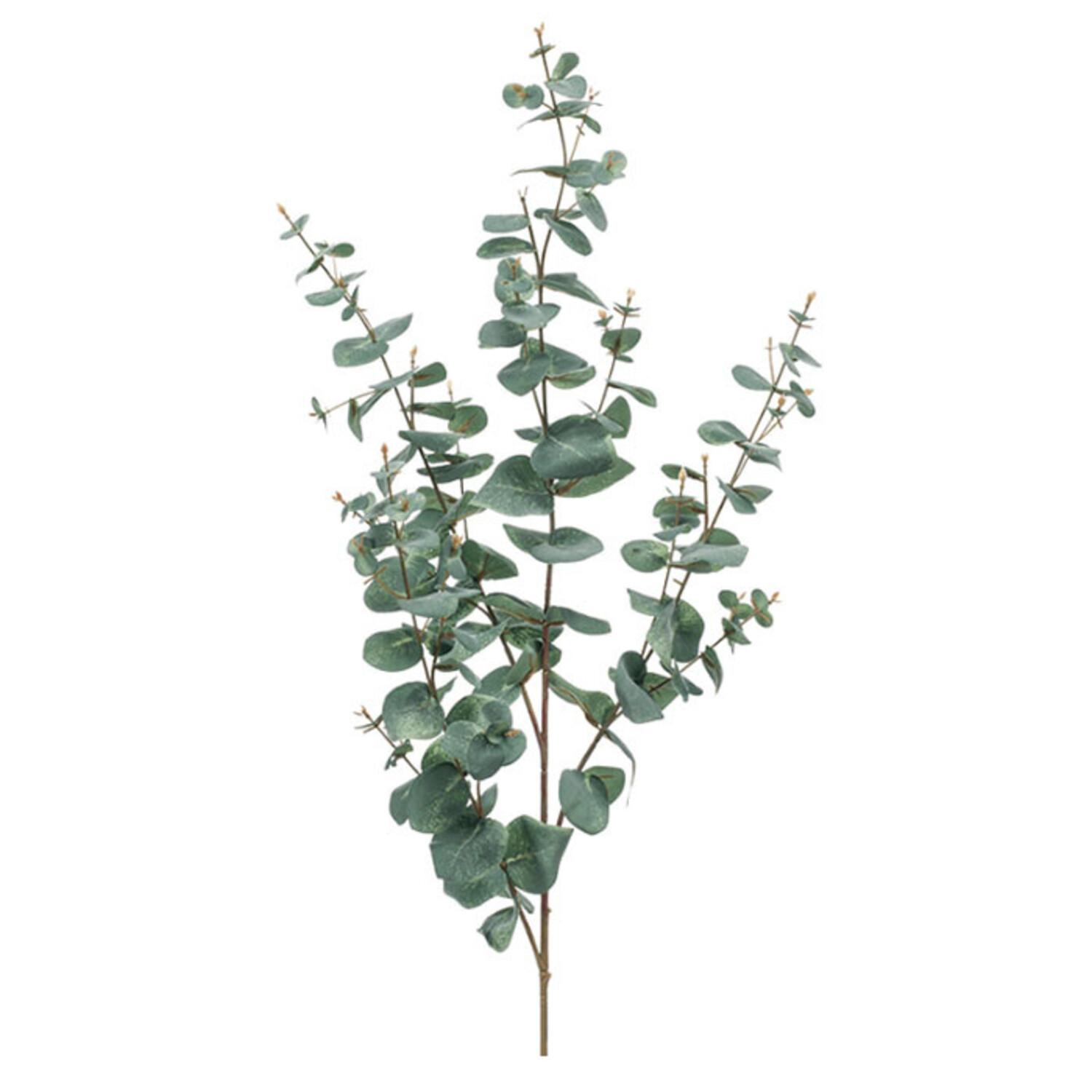 Eukalyptus-Kunstzweig