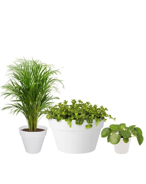 Elho Pflanzenpaket