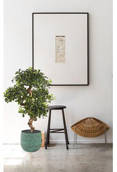 Kunstpflanze Pittosporum (Bonsai) im Evi-Topf