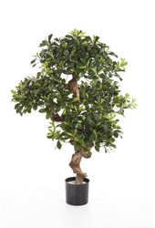 Kunstpflanze Pittosporum (Bonsai) im Evi-Topf