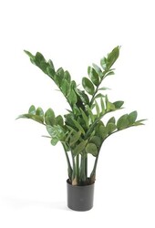Kunstpflanze Zamioculcas in Pure Rund S