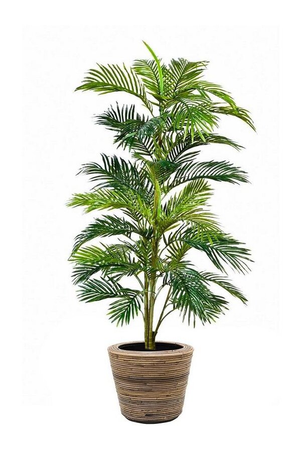Kunstpflanze Goldpalme in Rattan