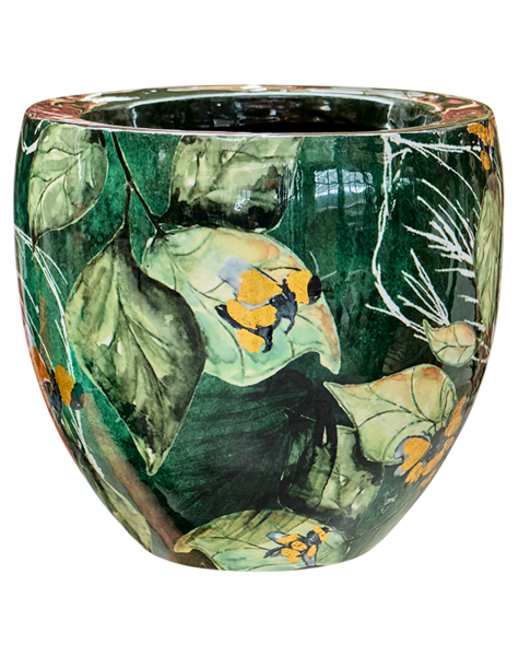 Ter Steege Ter Steege