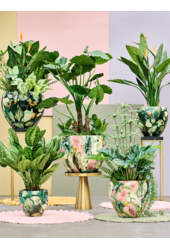 Thom, entworfen von Lammie Couple Bee Green