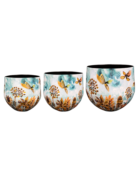 Ter Steege Ter Steege