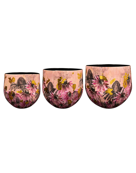 Ter Steege Ter Steege