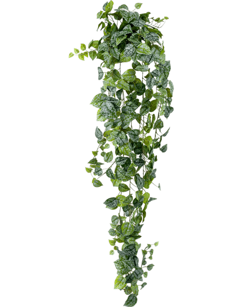 Kunstpflanze – Sonderangebot