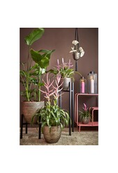 Arzilla Laterne – L14 x B13 x H35 cm – Schwarz