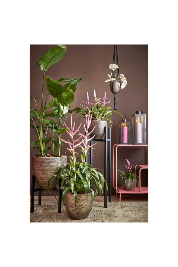 Arzilla Laterne – L14 x B13 x H35 cm – Schwarz