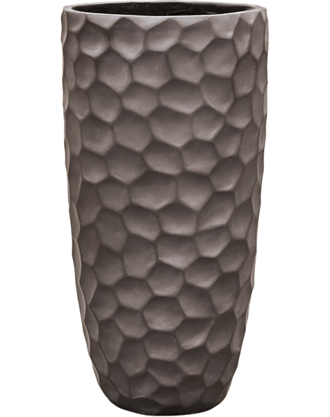 Baq Baq – Sonderangebot