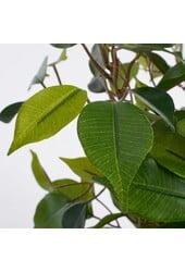 Ficus Natasja Künstliche Pflanze im Stan-Blumentopf – H40 x Ø30 cm – Grün