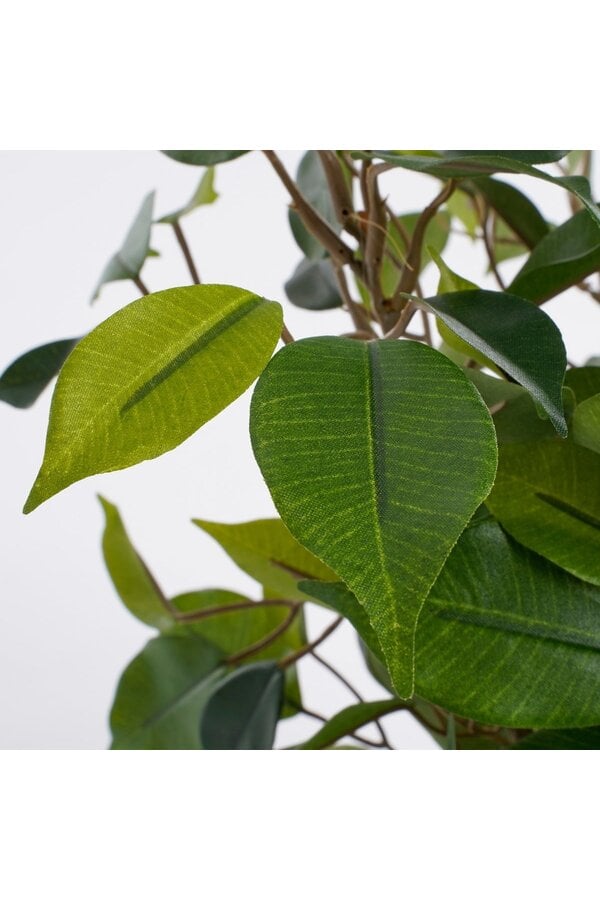 Ficus Natasja Künstliche Pflanze im Stan-Blumentopf – H40 x Ø30 cm – Grün