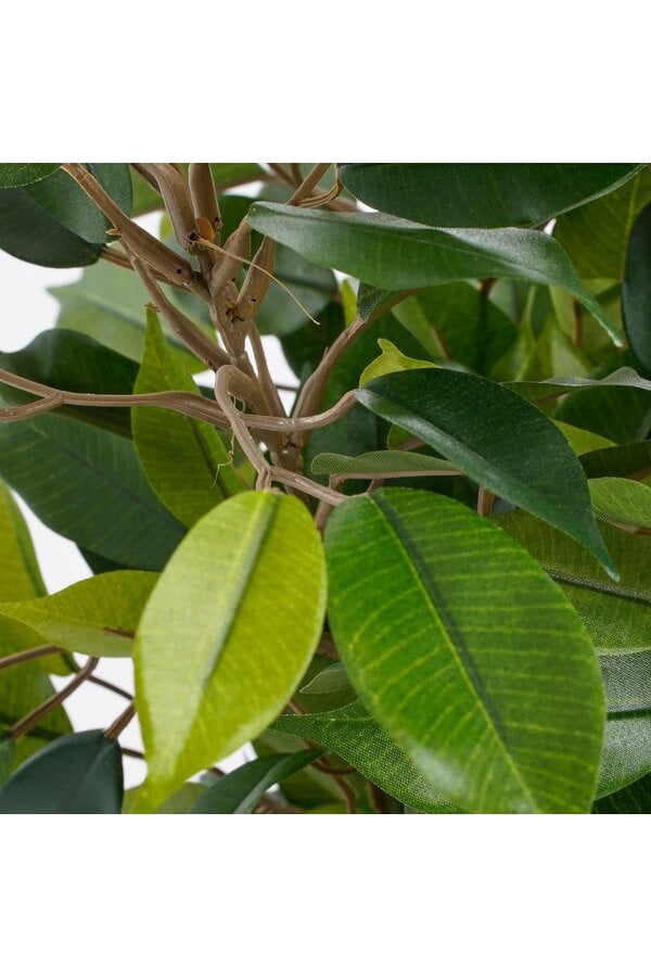Ficus Natasja Künstliche Pflanze im Stan-Blumentopf – H40 x Ø30 cm – Grün