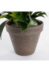 Ficus Natasja Künstliche Pflanze im Stan-Blumentopf – H40 x Ø30 cm – Grün