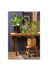 Mutiger Holzhocker – L38 x B29 x H34 cm – recyceltes Holz – Braun