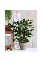 Ficus Natasja Künstliche Pflanze im Stan-Blumentopf – H40 x Ø30 cm – Grün
