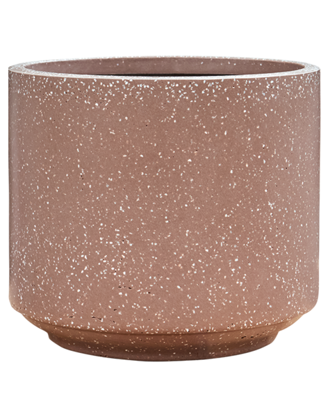 Baq Baq – Sonderangebot