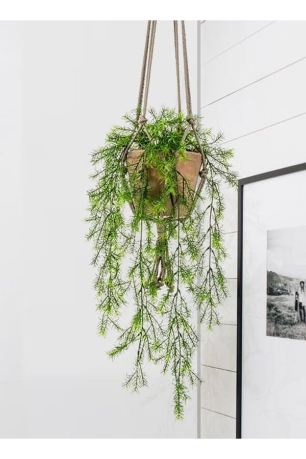 Asparagus Sprengeri Hängende Kunstpflanze – Sonderangebot
