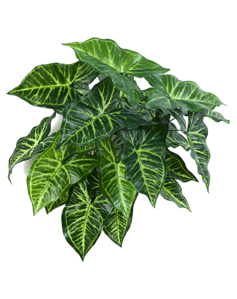 Kunstpflanze – Sonderangebot