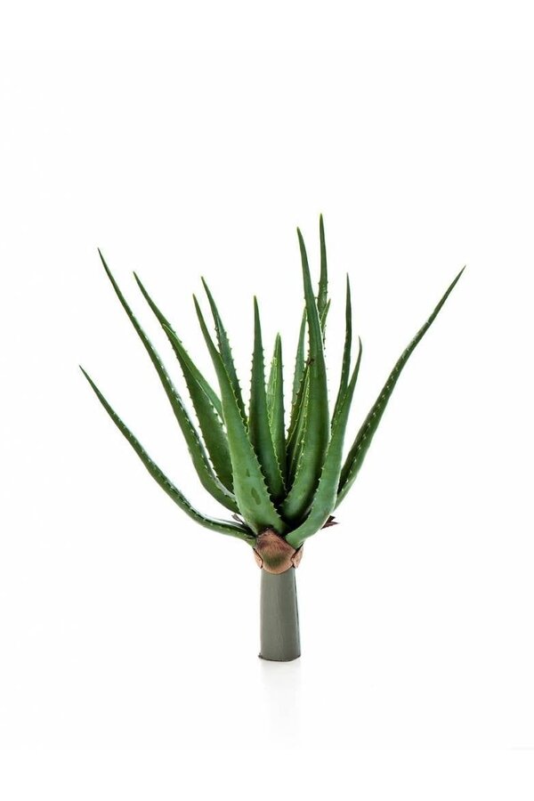 Aloe-Kunstpflanze – Sonderangebot