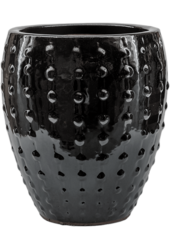 Laos Mini-Kaiser Gold