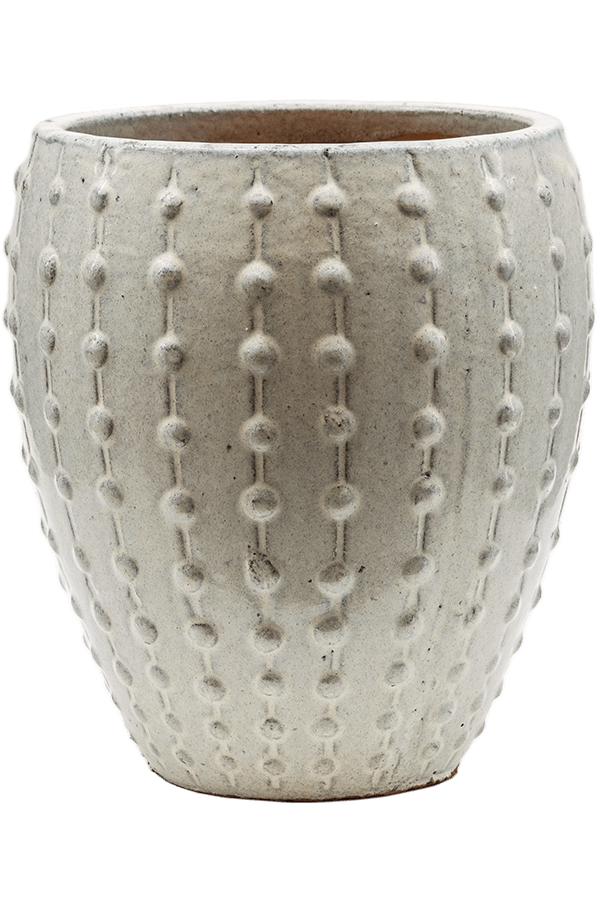 Laos Mini-Kaisercreme