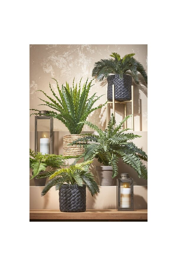 Lanterna Arzilla - L14 x L13 x H35 cm - Oro