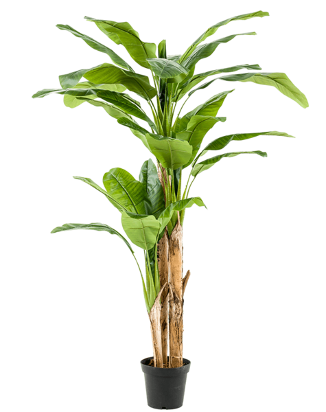 Kunstpflanze – Sonderangebot