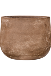 Baq Algar Darcy Brown