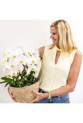 Kolibri Orchideen | Weiße Orchidee im Reedkorb inkl. Drei gebogene weiße Orchideen Niagara Herbst 12 cm | Mono-Bouquet weiß mit selbstversorgendem Wasserreservoir