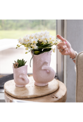 Kolibri-Orchideen | Weiße Orchidee 'Nazaré' + Fischtopf rosa - Topfgröße Ø9cm | blühende Zimmerpflanze – frisch vom Züchter