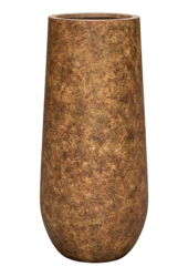 Kentia-Palme in Mineral Vase