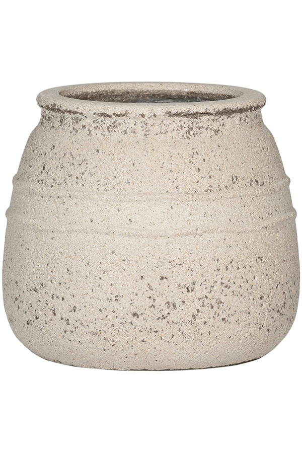 Strelitzia im Mittelmeer