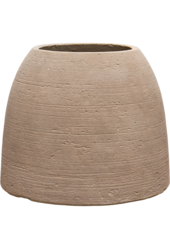 Monstera in Colorado