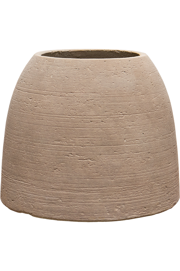 Monstera in Colorado