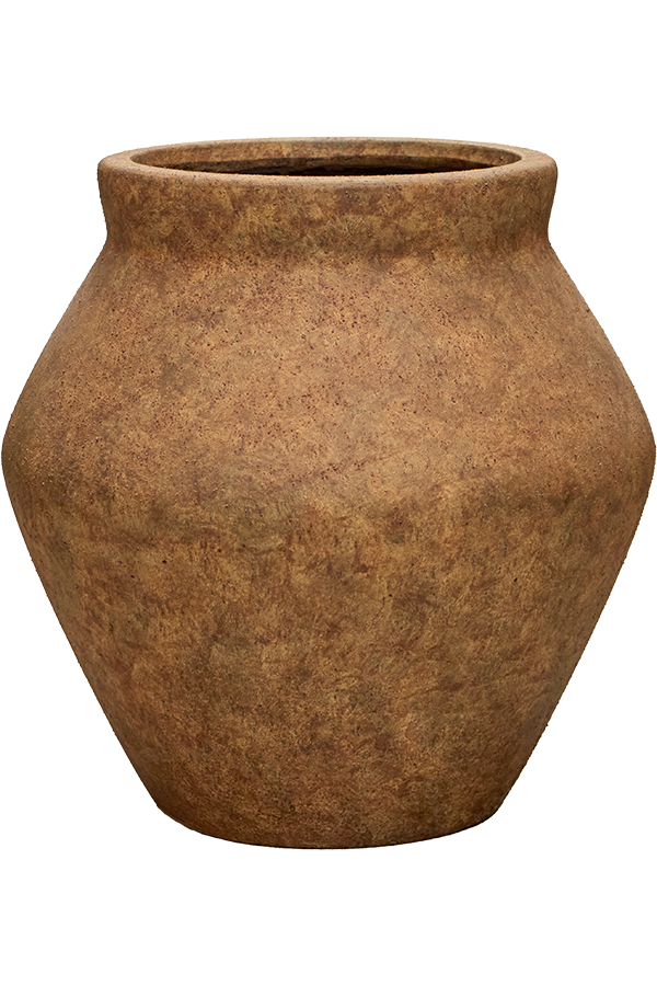 Strelitzia im Mineral-Topf