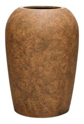 Strelitzia in Mineral Vase