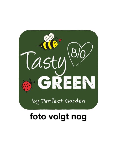 Prunus nucipersica Flavortop Bio P27 Niederstamm