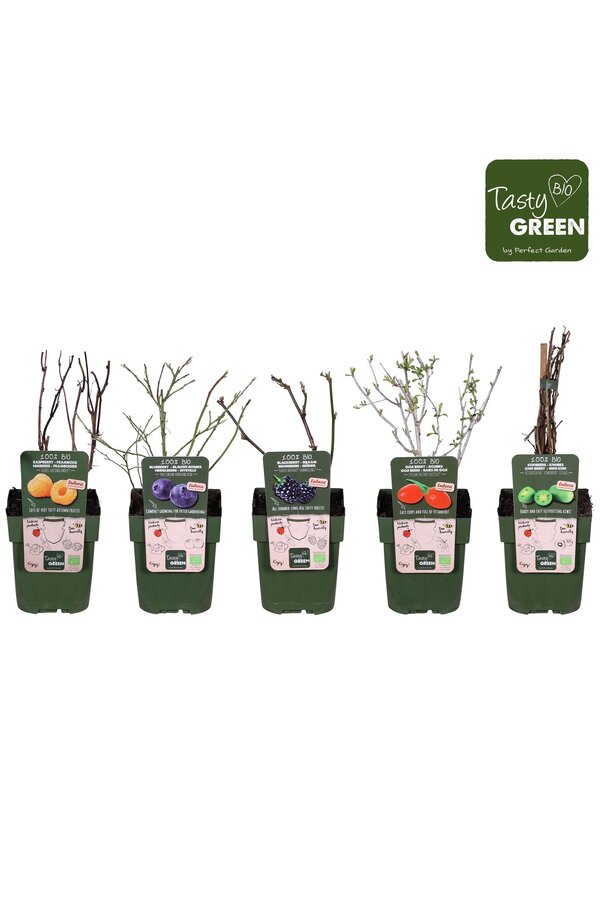 Fruchtmix-Schale bio exklusiv P13