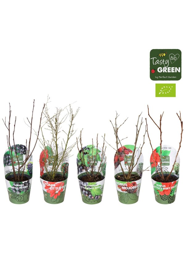 Fruit mix tray potcover Bio P14