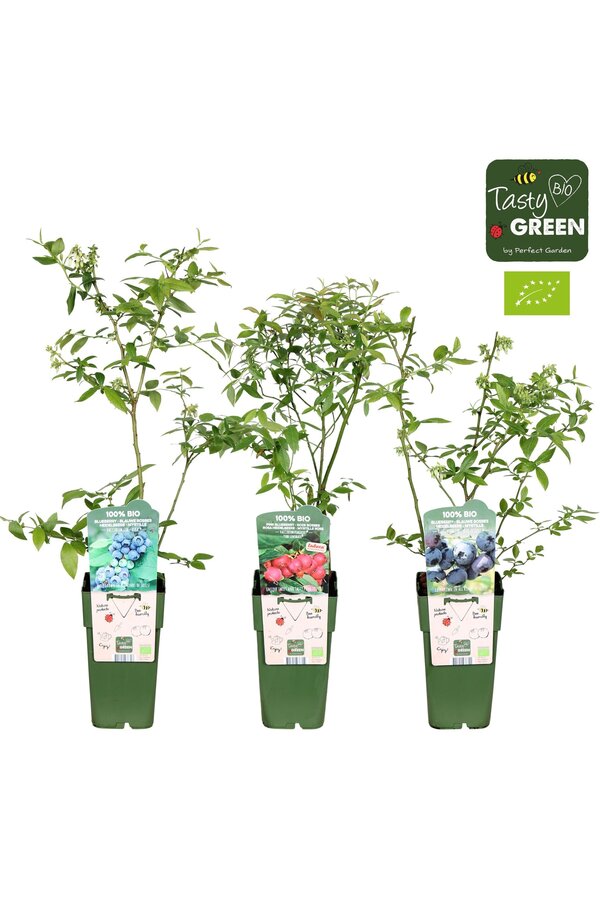 Vaccinium mix laag bio P15