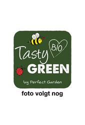 Prunus nucipersica Flavortop Bio P27 Laagstam