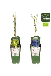 Vitis mix laag Bio P15