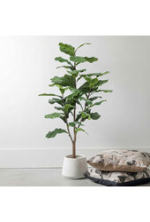Ficus Lyrata M Kunstpflanze